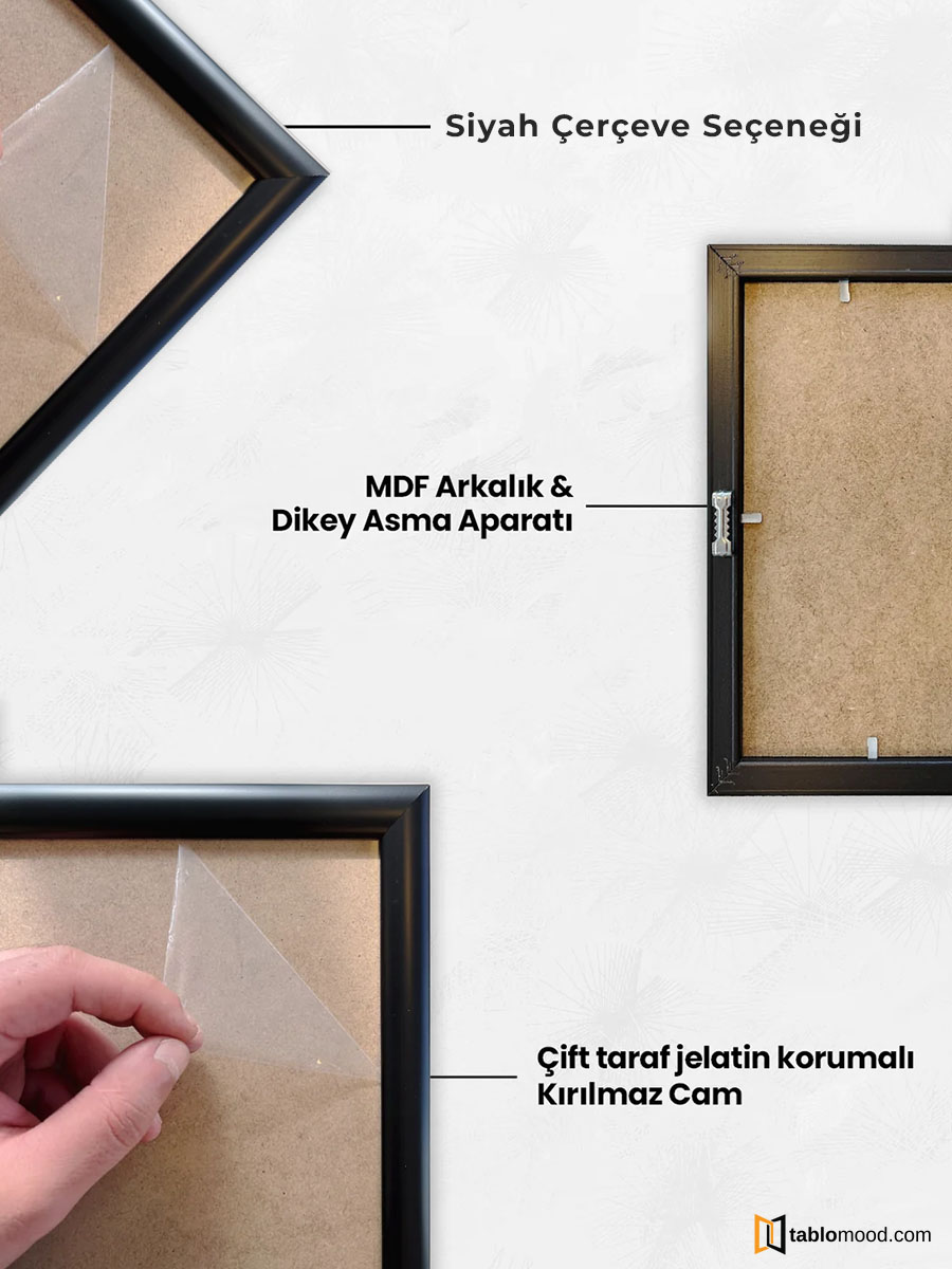 Siyah Çerçeveli Tablo